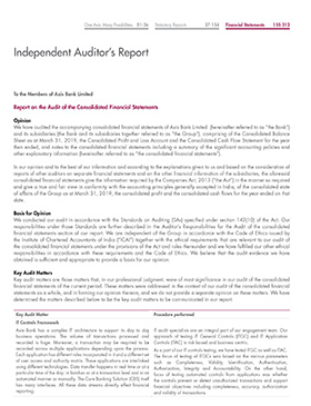 Independent Auditor's Report - Consolidated