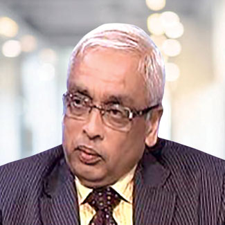 Gopalaraman Padmanabhan - Independent Non-Executive Director