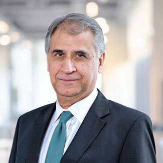 Rakesh Makhija - Independent Director & Non-Executive (Part-Time) Chairman