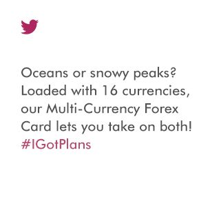 Multi money forex limited
