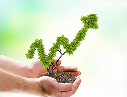 Best small investment options