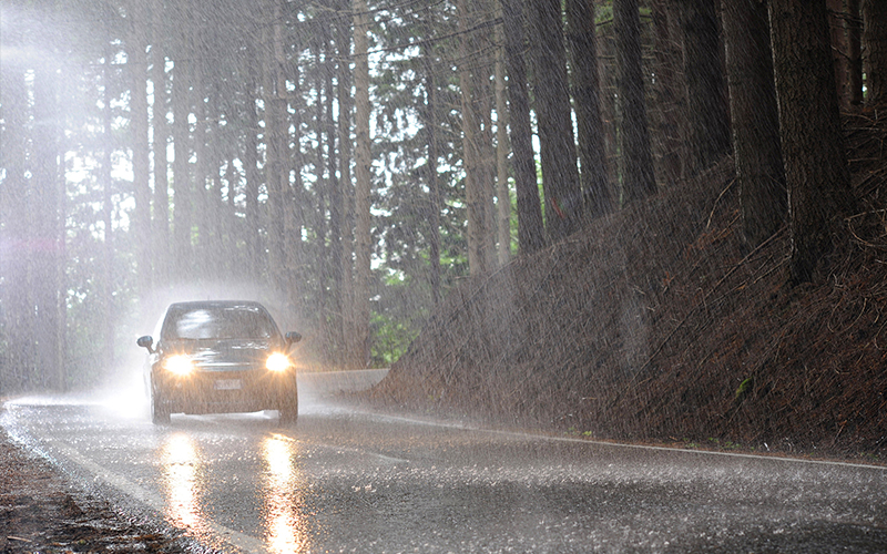 monsoon monsoon
