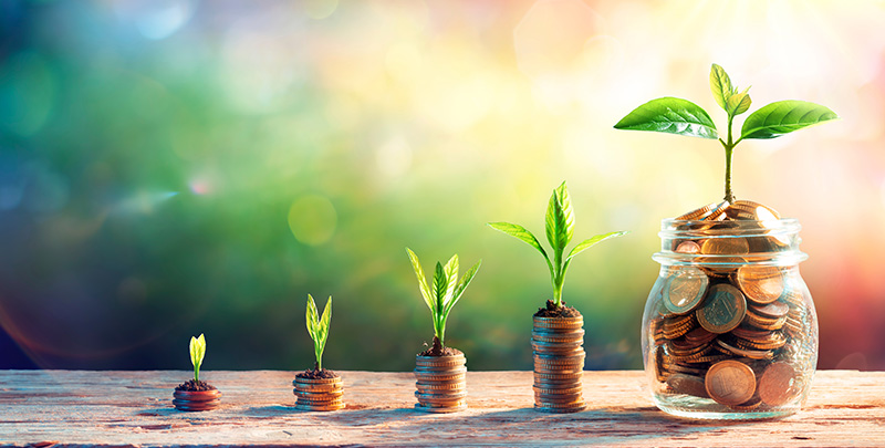 SGB vs FD: Key differences between SGB and Fixed Deposit