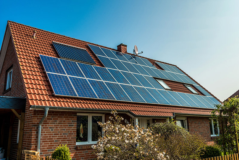 eco friendly living eco friendly living