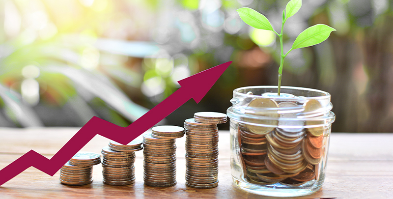 What is a Contra Fund_