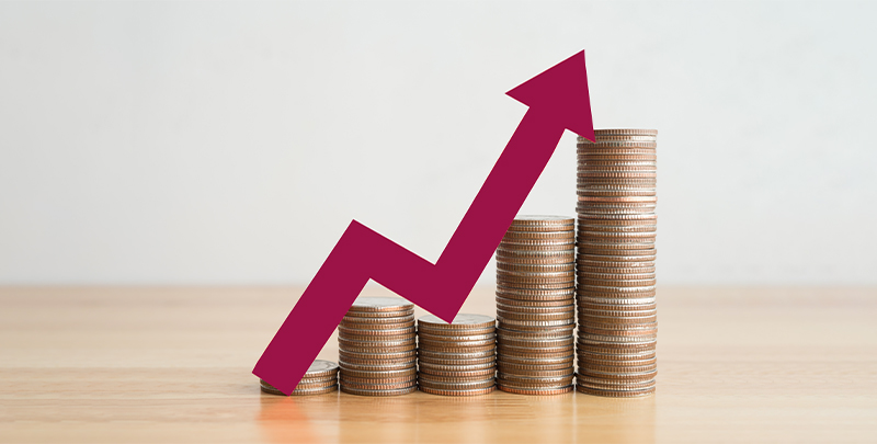 what-is-a-multi-cap-fund-blog