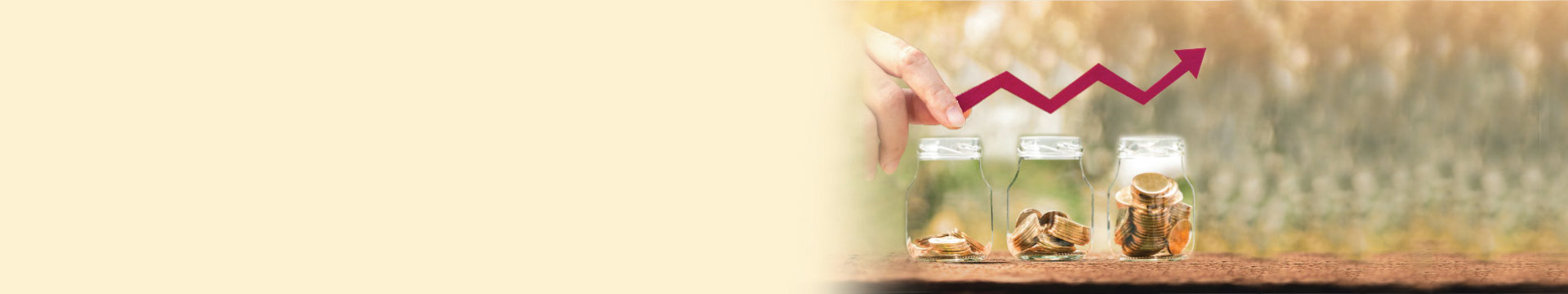 Invest in Sovereign Gold Bonds