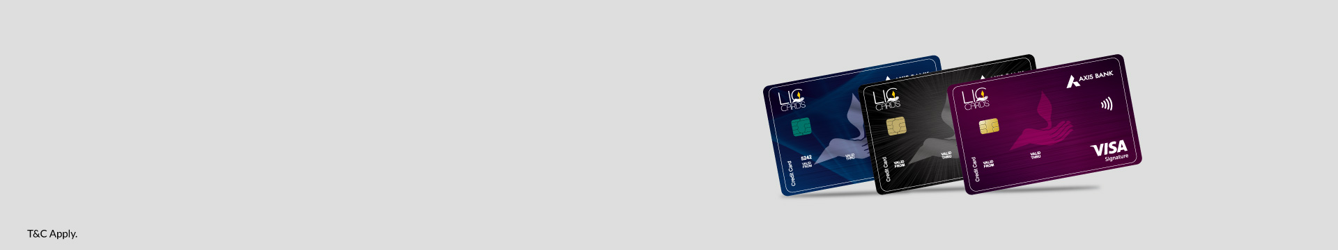 Platinum Credit Card Banner
