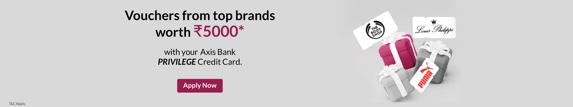 Privilege Credit Card Banner
